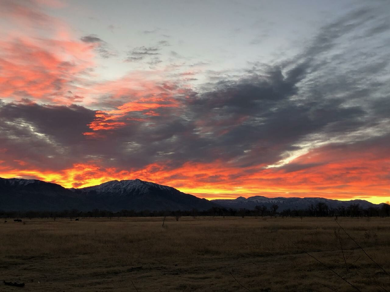 Pet Cremation in Bishop, CA